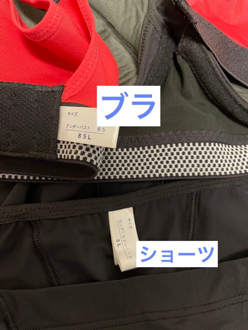 マルコm-fit sports active ネオンピンク×チャコール