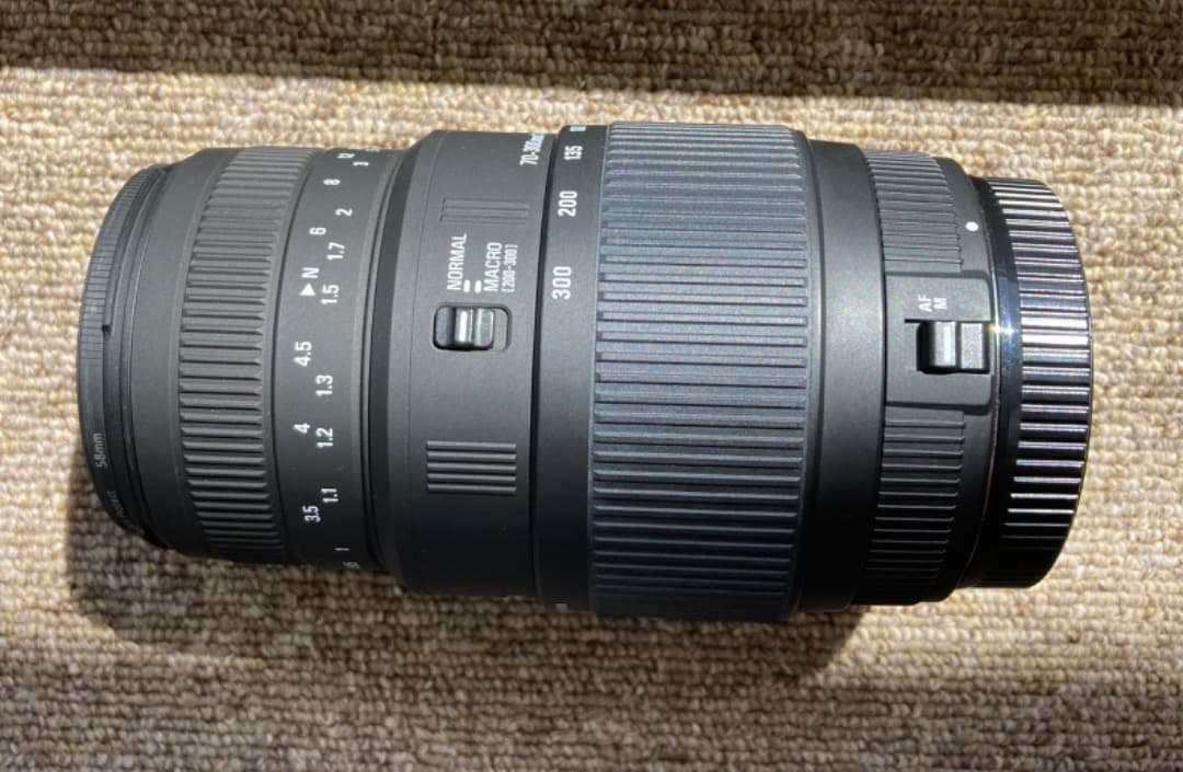 SIGMA望遠ズームレンズ70-300mm F4-5.6 DG MACRO