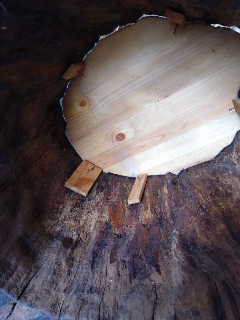 木製 自然木の座卓