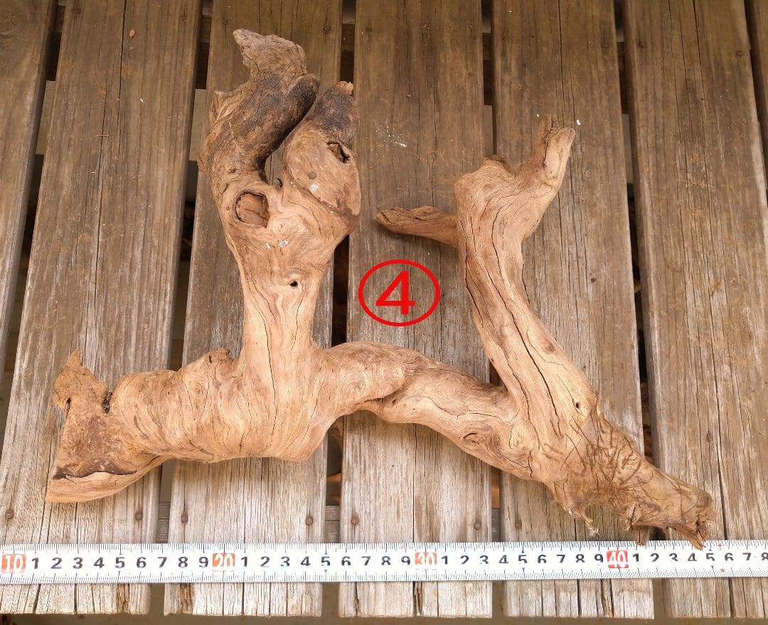 アクアリウム用品　レイアウト 良型 流木 Ｍ Ｌサイズ　７本セット