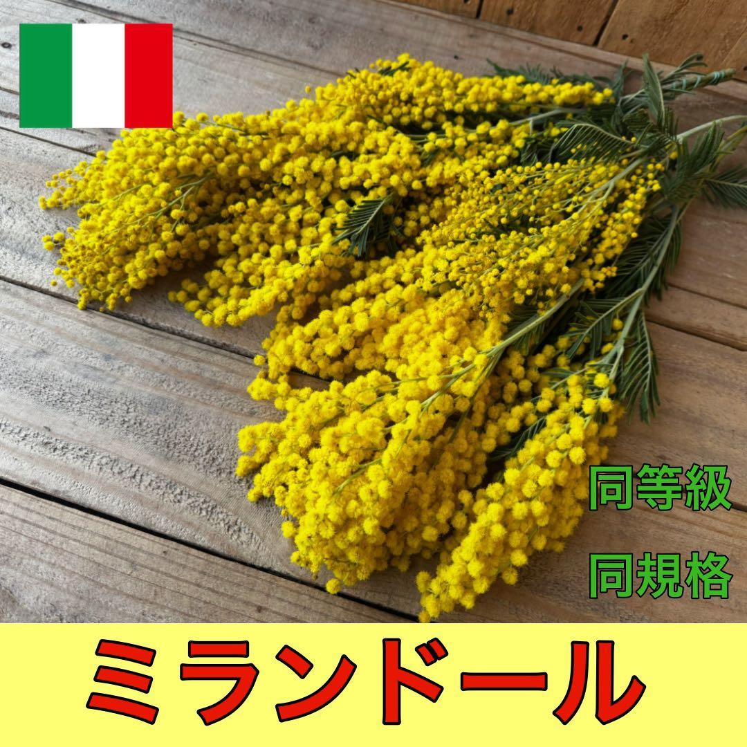 kumi様 リクエスト 3点 まとめ商品