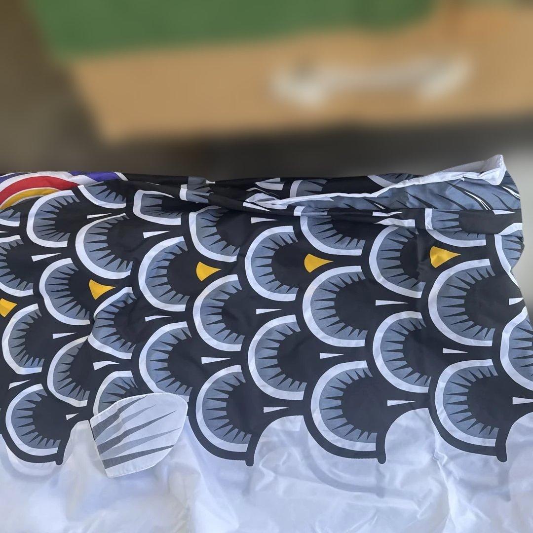 カラフル鯉のぼりセット　太郎鯉