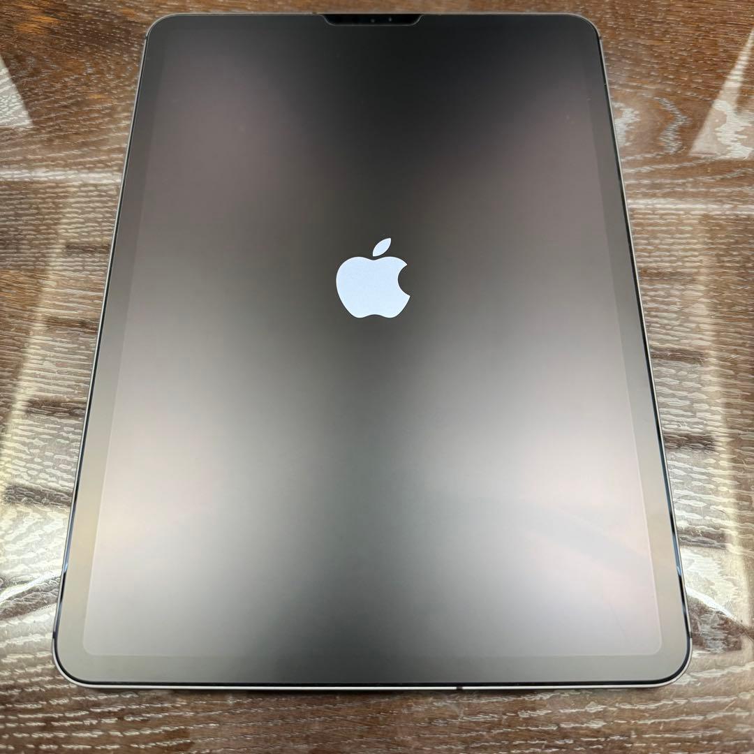 iPad Pro 11インチ 第1世代 256GB セルラー SIMフリー