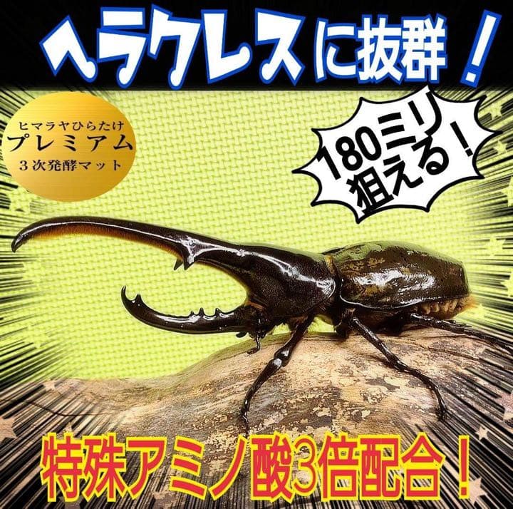 大人気！雑虫がわかない！完全室内製造！極上！プレミアム発酵カブトムシマット　5袋