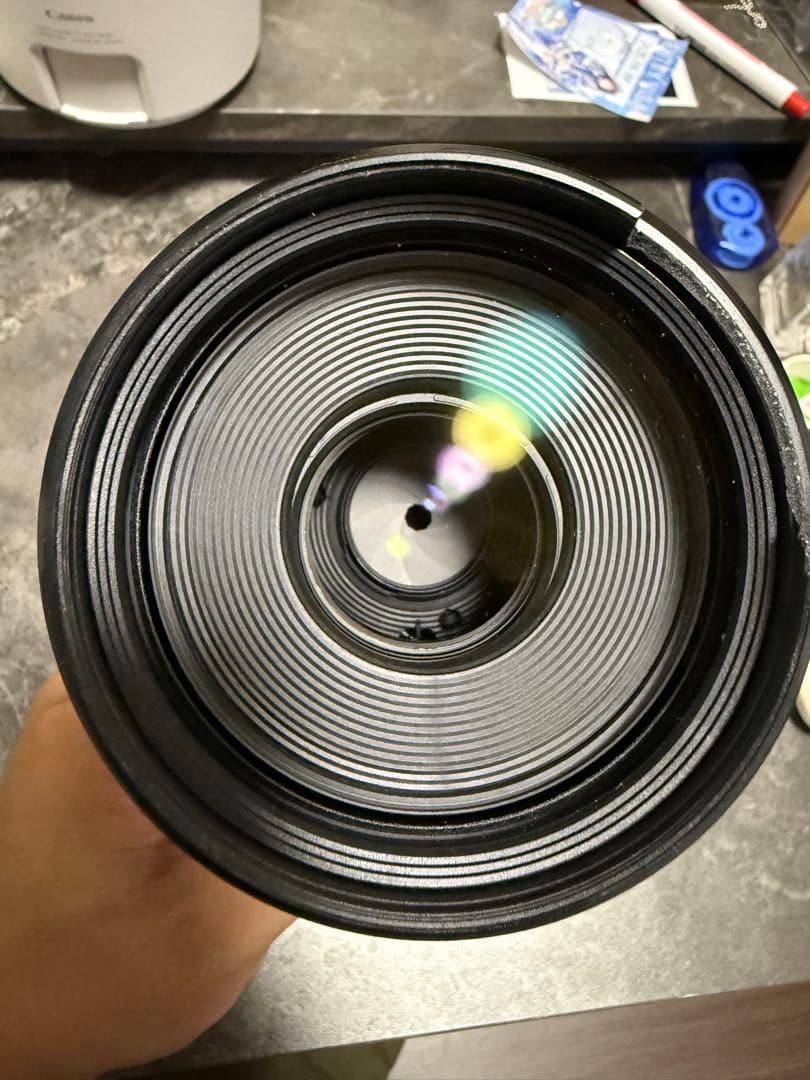 キャノン 望遠レンズ RF100-500mm F4.5-7.1 L IS USM