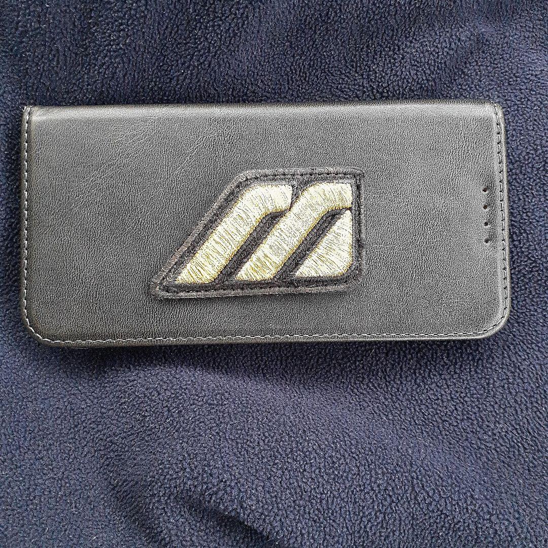 ミズノプロ　ビッグMラベル