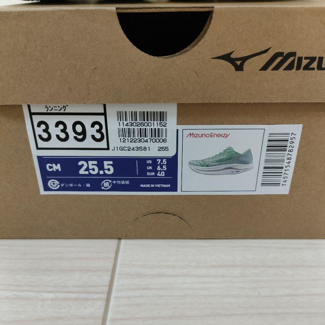 Mizuno Wave Rebellion Flash2ミントグリーン