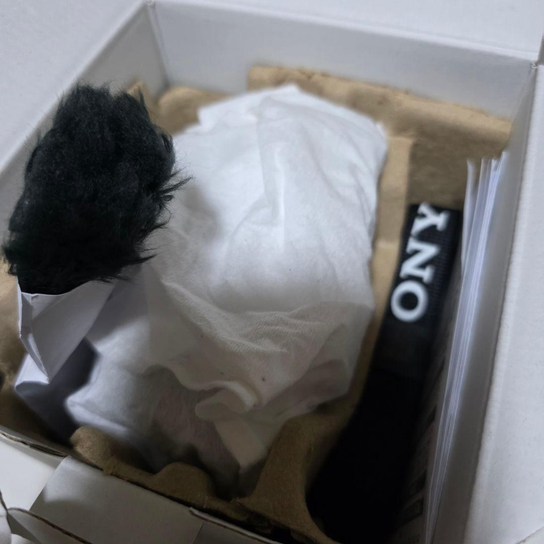 ZV-E10II SIGMA 18-50mmF2.8 DC DN　保証書付き