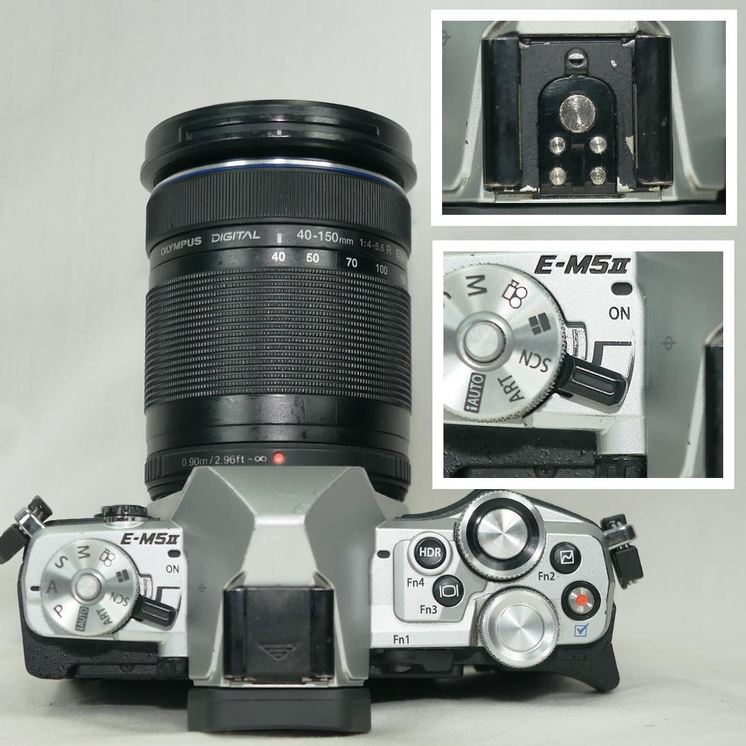 OLYMPUS OM-D E-M5 Mark II 望遠レンズセット