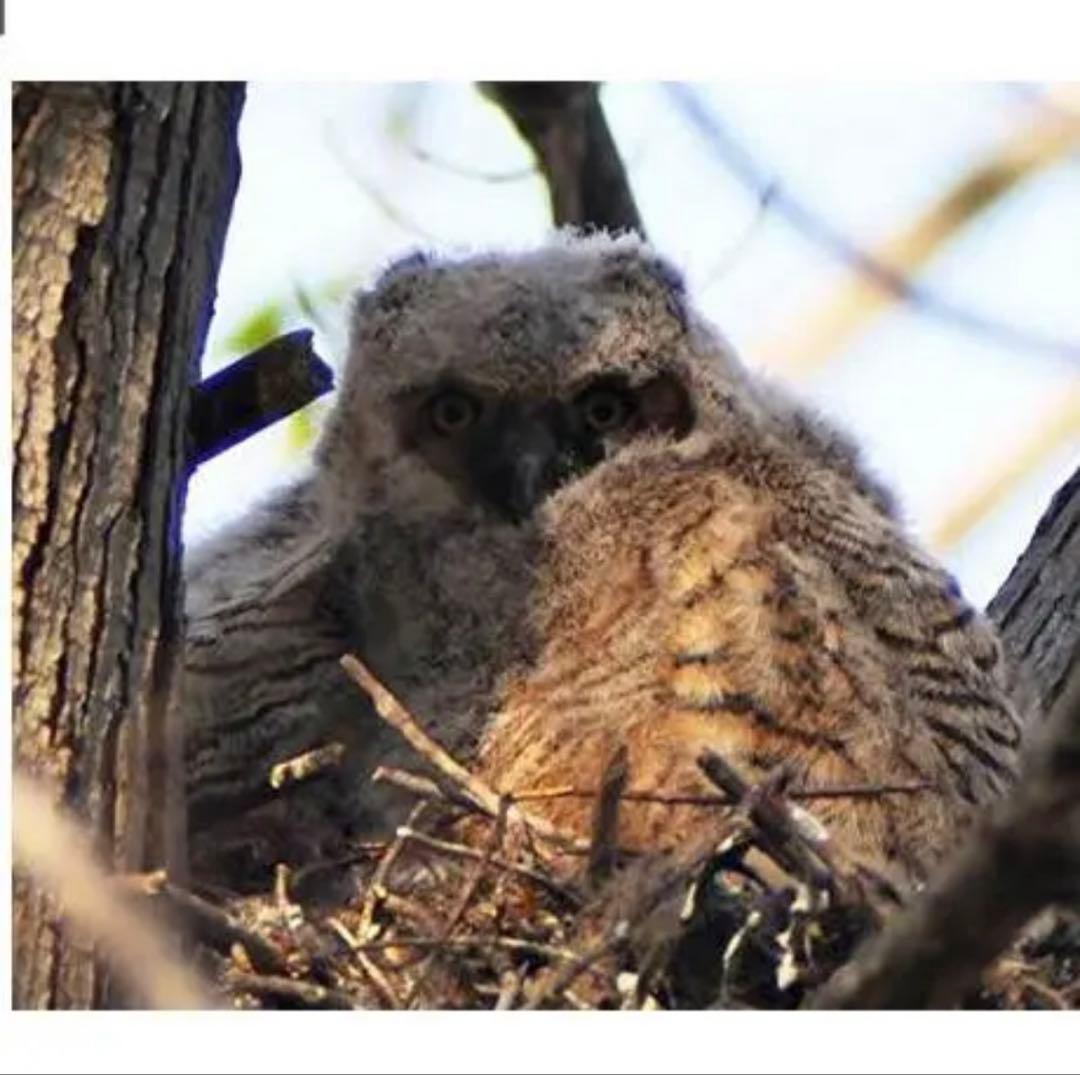 り*ん様 Canon一眼レフ用ズームレンズ！初心者サポート付き！袋付き！即決OK