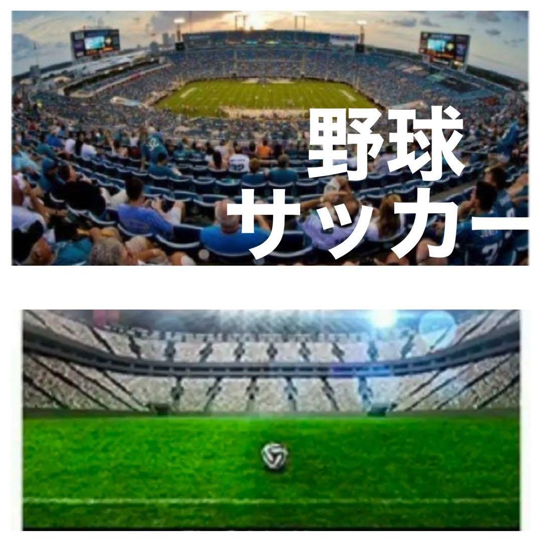 り*ん様 Canon一眼レフ用ズームレンズ！初心者サポート付き！袋付き！即決OK