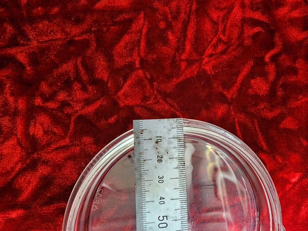 シビエ　レンズ　シャリー　ダックス