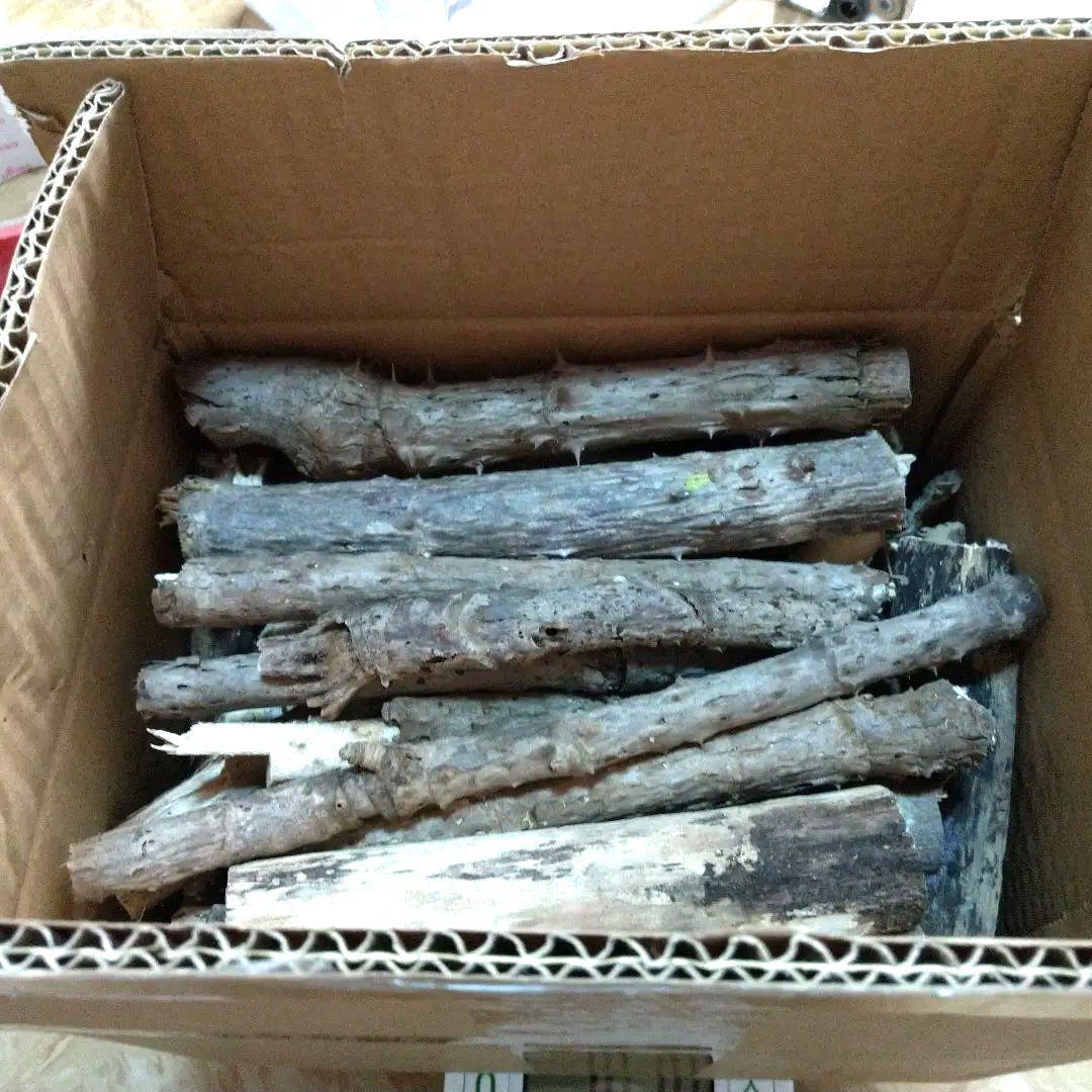 北海道産天然たらの木乾燥 １０キロ