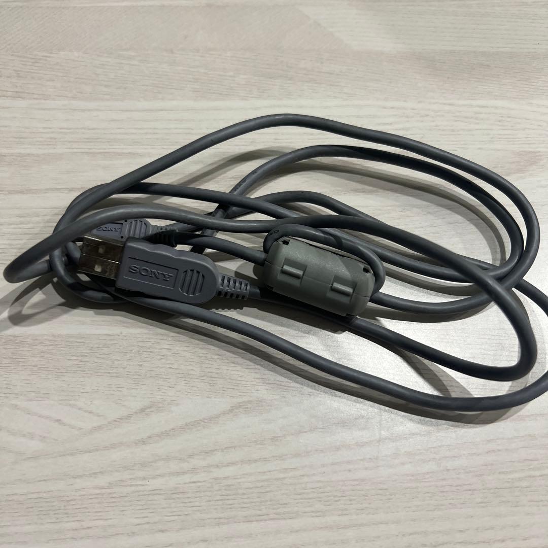 【希少】 SONY オーディオプレイヤー ウォークマン NW-A607