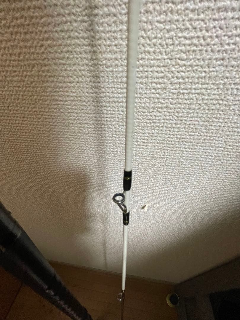 プロフィールド石鯛　540MH スーパーロイヤル　　　石鯛　クエ　底物　磯