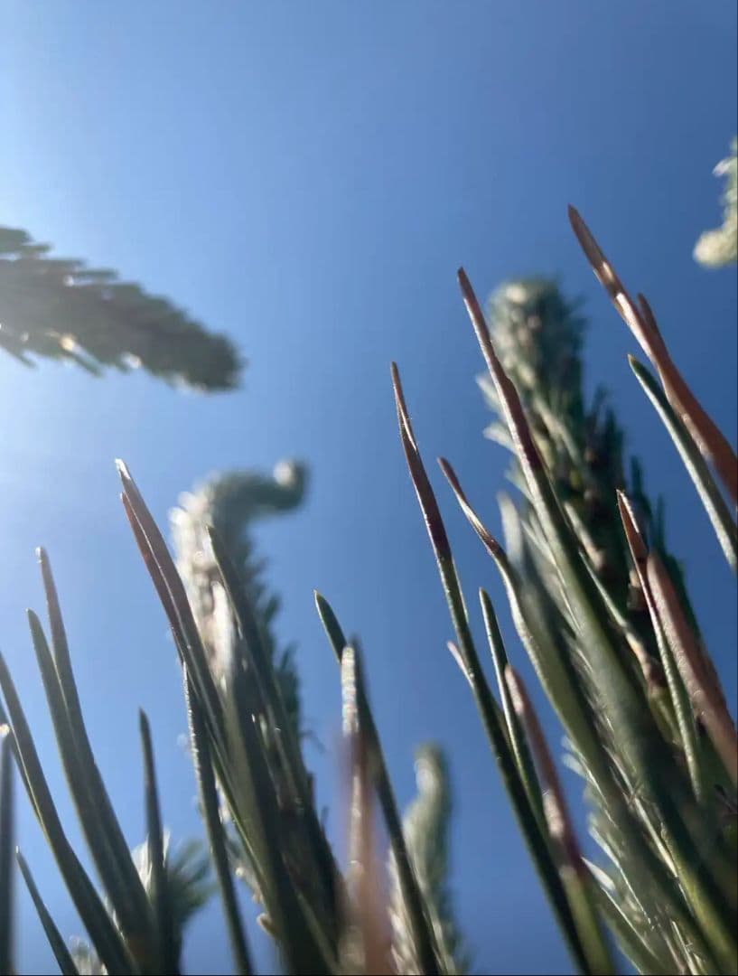 断*離様 Canon PowerShot G7 X Mark II