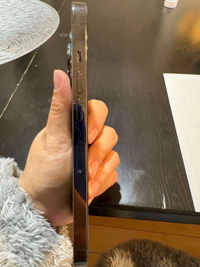 Apple iPhone 13 Pro グラファイト 本体カバー付き最終値下げ