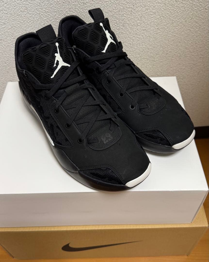 AIR JORDAN 39 us13 31cm ジョーダン39