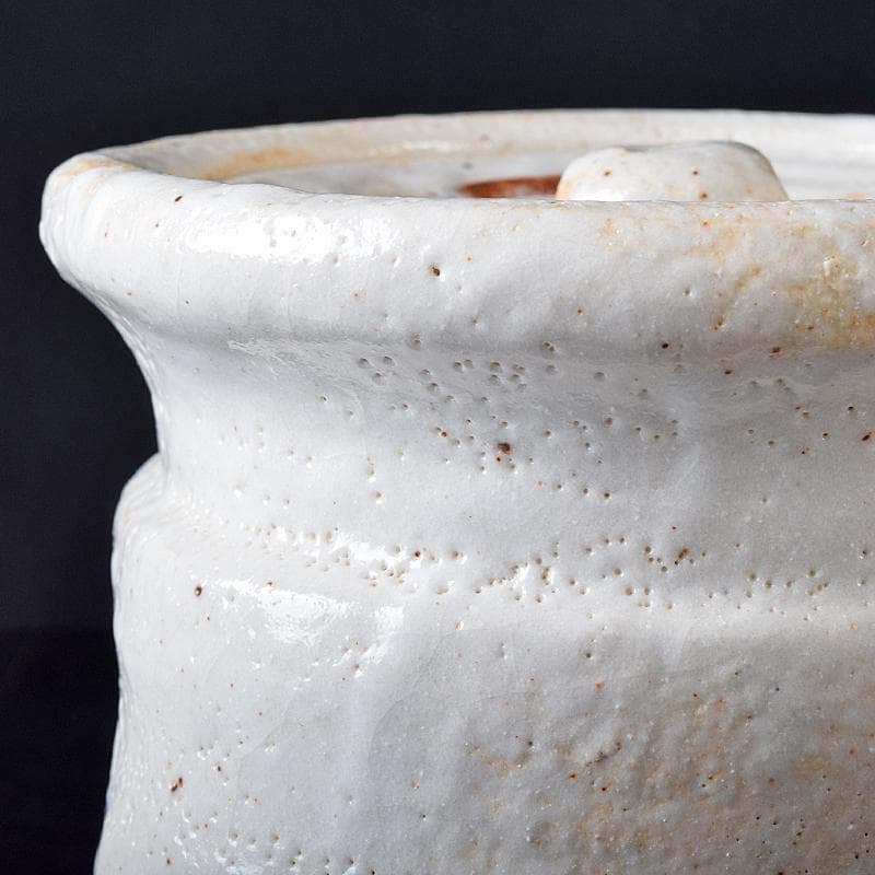 Gojyo人間国宝荒川豊蔵作　絵志野　水指　仕覆付　共箱　D　R8739B