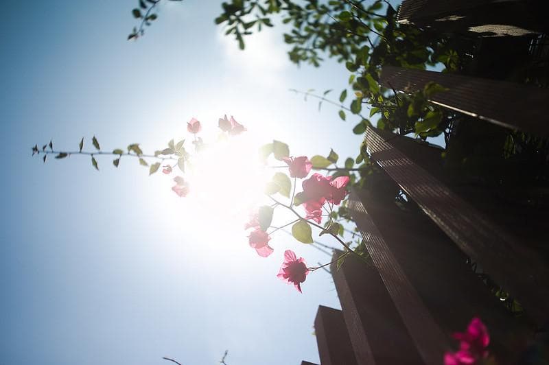 83　希少【RED P】　沈胴式オールドレンズ インダスター22　L39