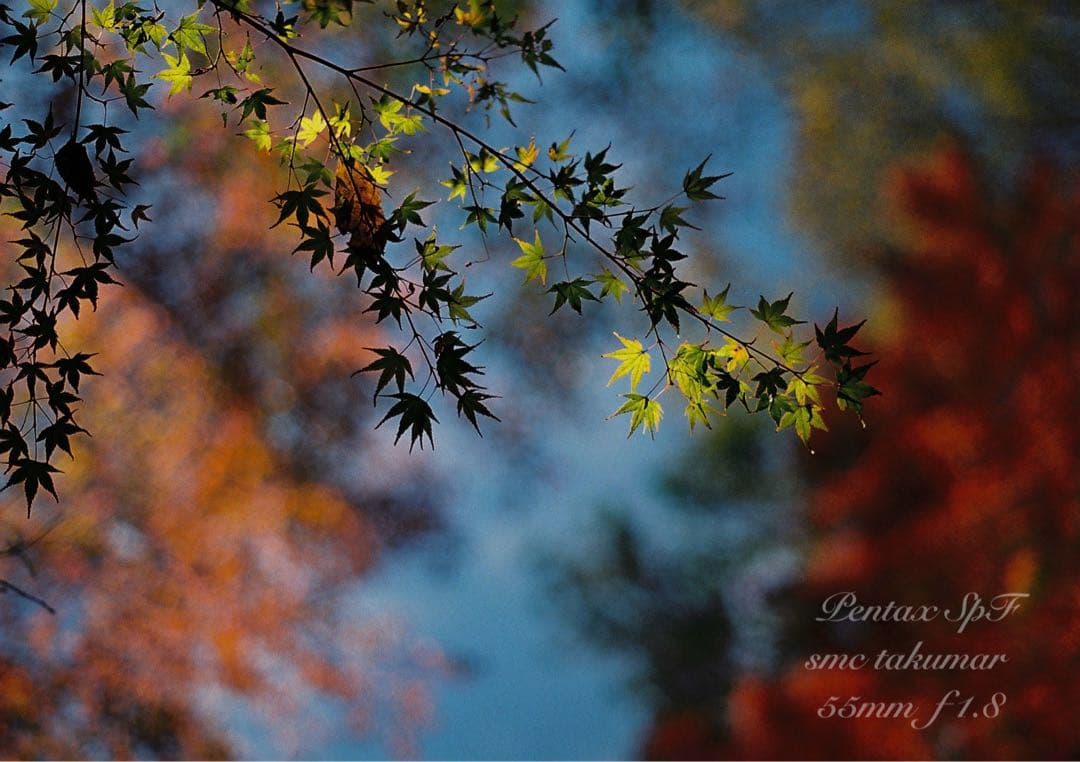 超美品＊完動品★pentax spf／ f1.8★初期保証＊作例必見＊絶好調！