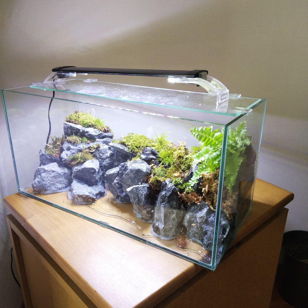【オーダーメイド】滝のあるアクアテラリウム　苔テラリウム　アクアリウム