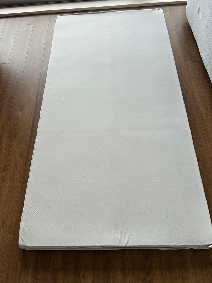 値下げ！トゥルースリーパーエアフリー正規品 シングル　2枚セット　マットレス