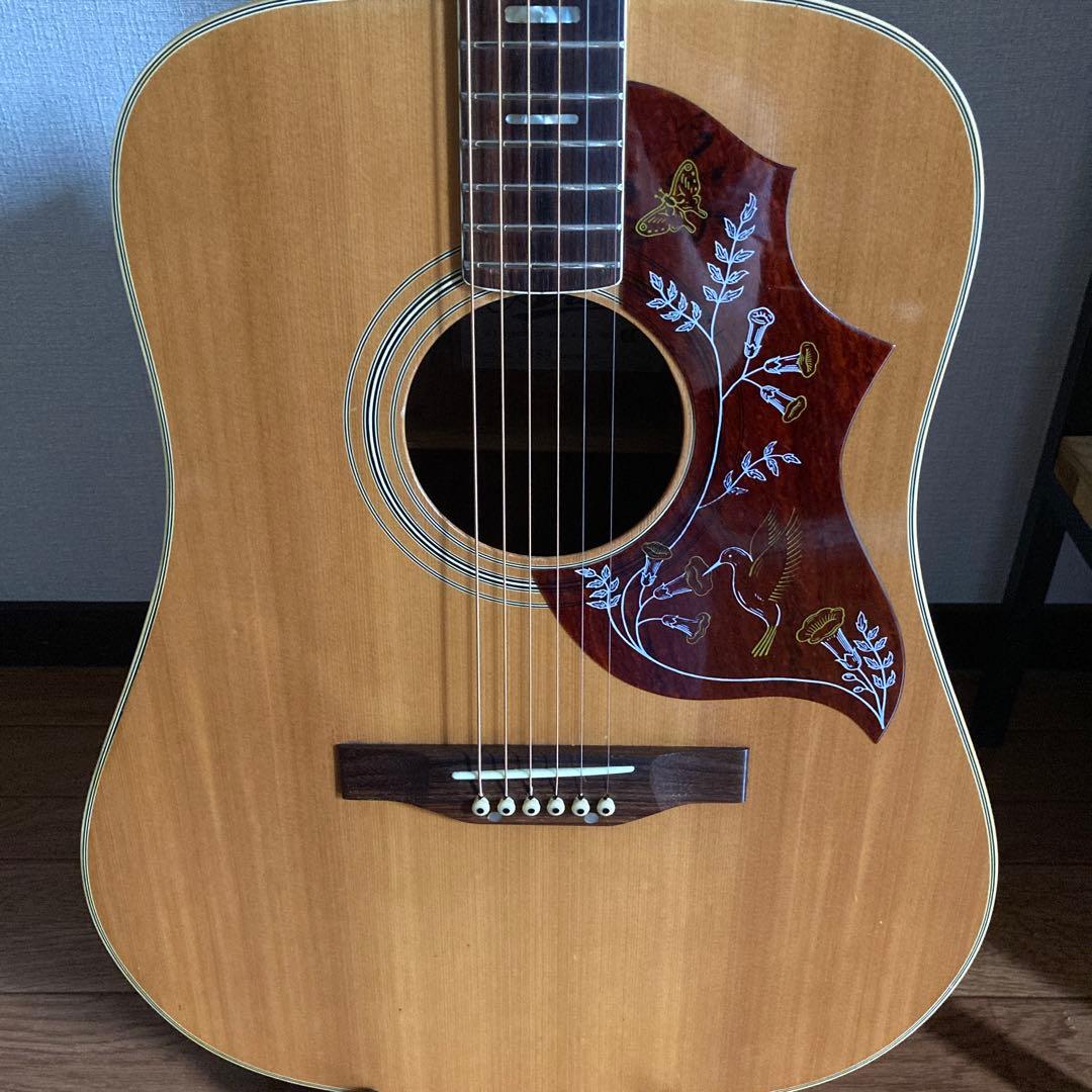 ま*ゆ様 【訳あり】Aria WH25N　ハミングバード　アリア　ソフトケース付