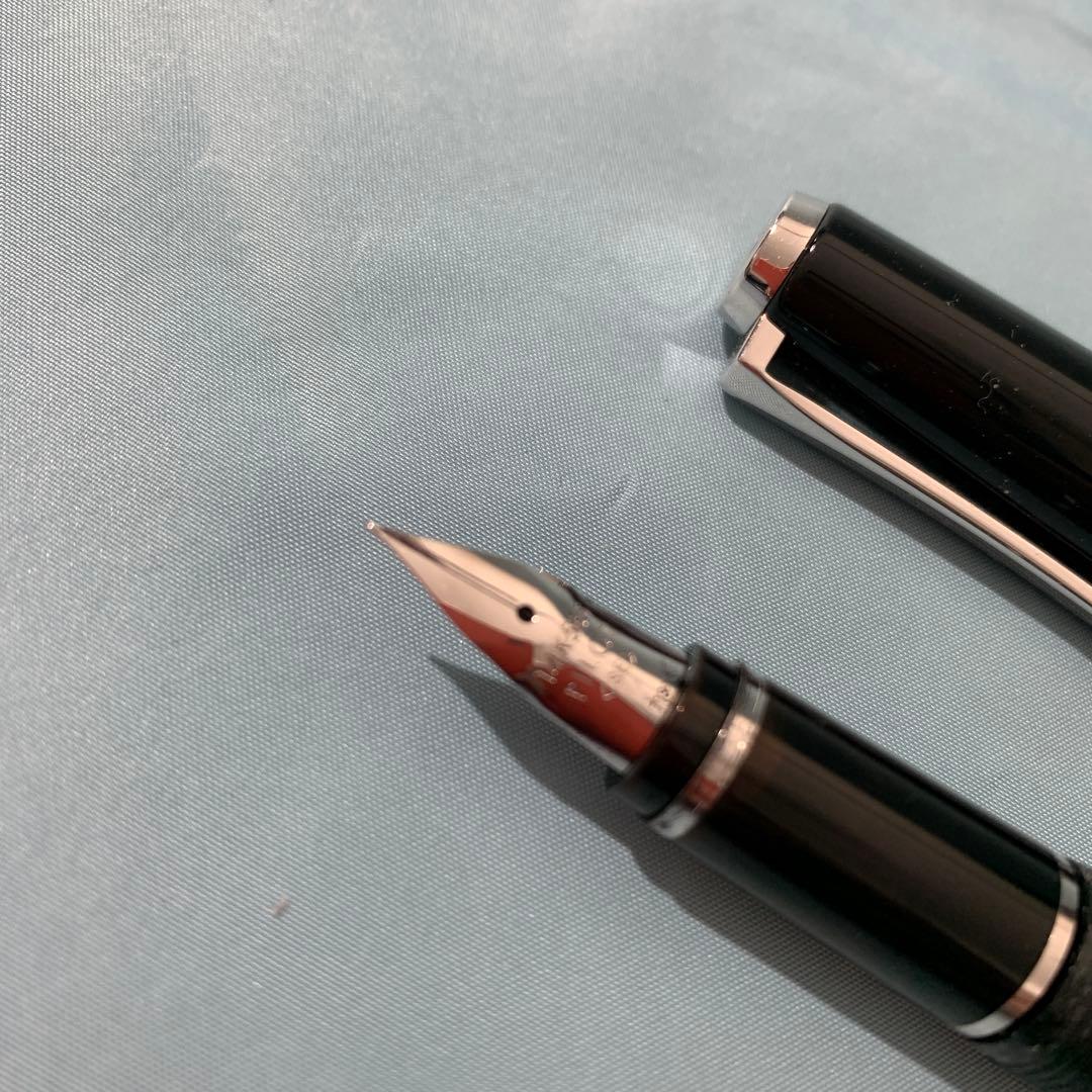 PILOT 万年筆 エラボー 極細字軟SEF FE-25SR-BSEF