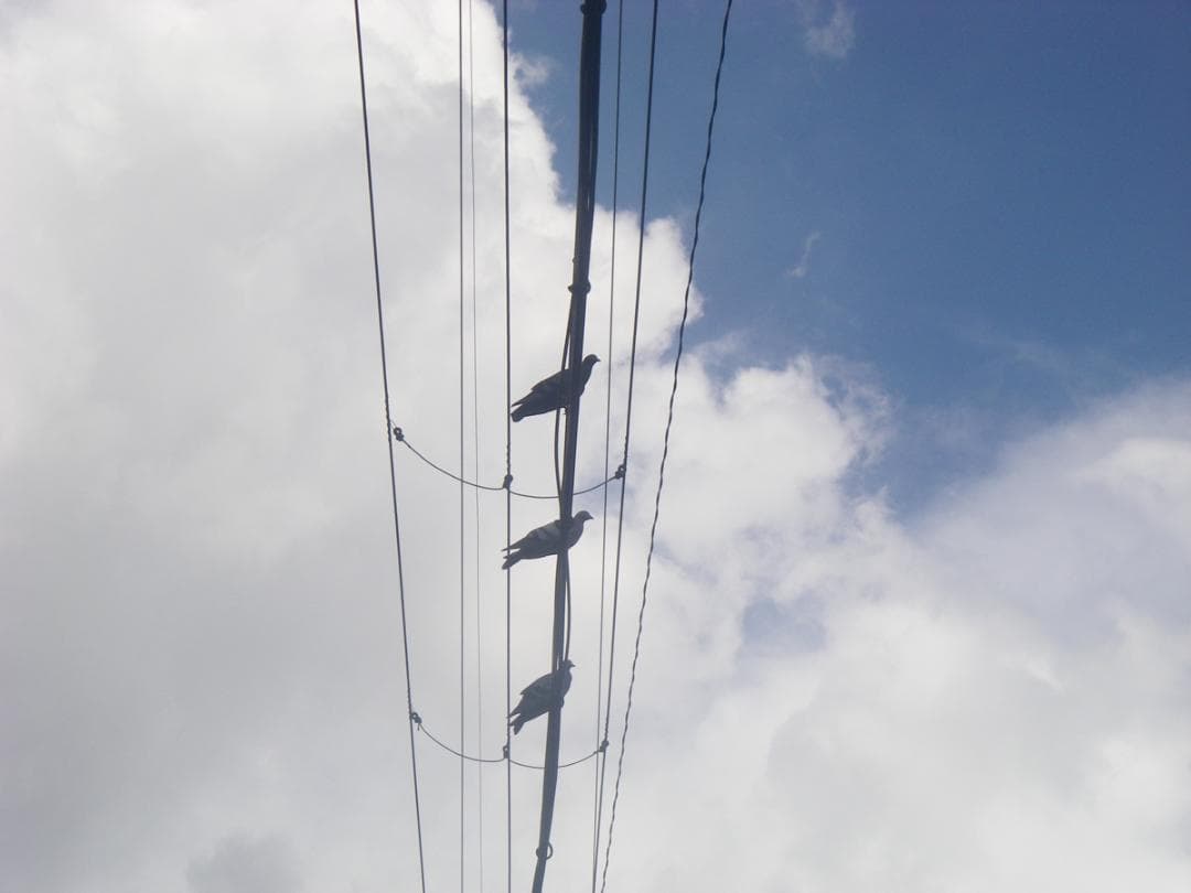 【防水カメラ】Pentax Optio W20 シルバー　スマホ転送OK