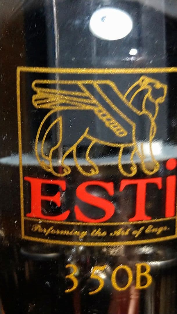 350B／6L6G.２本組、中国製