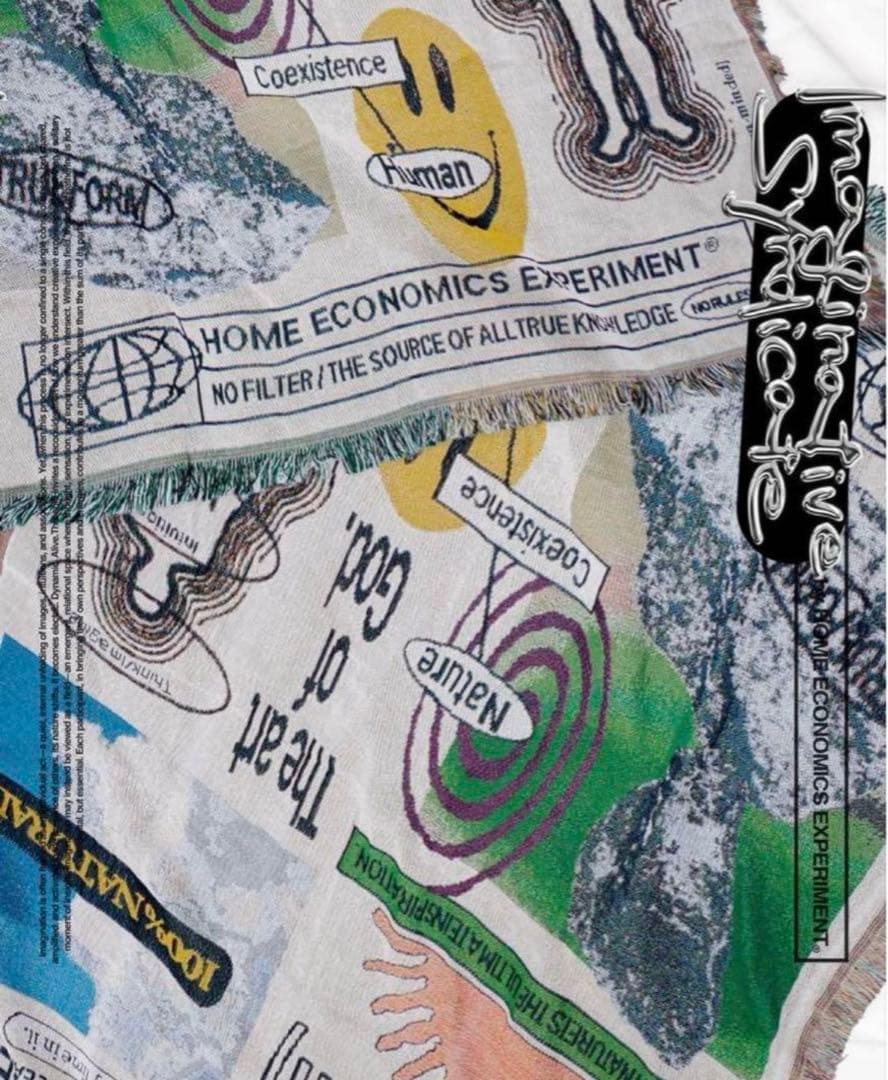 【完売品、美品】 ECONOMICS EXPERIMENT ラグ　マット