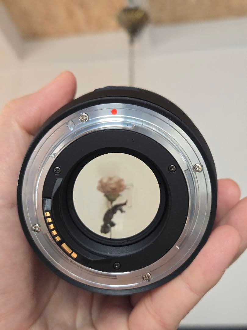 【高級フィルタ付】Tokina Opera 50mm F1.4 EFマウント用