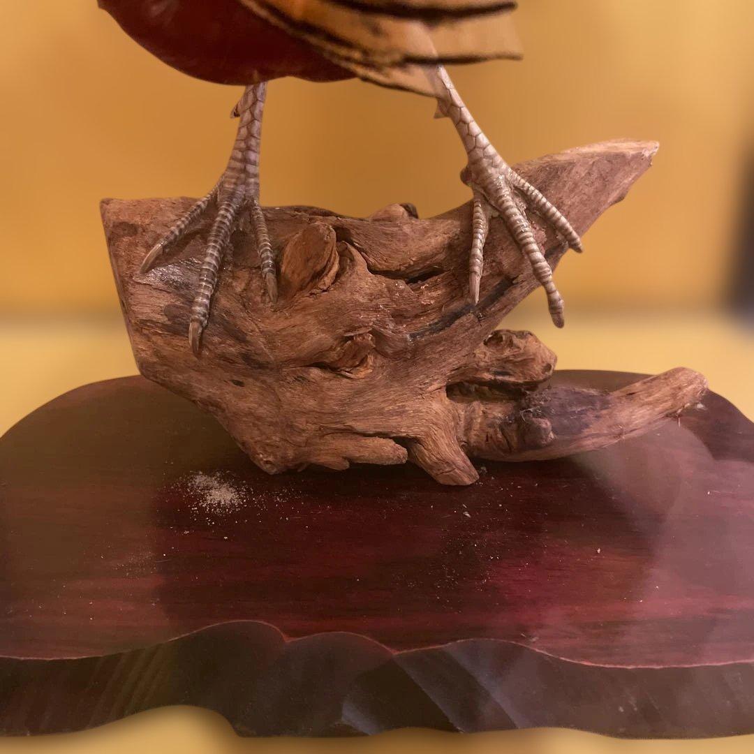 錦鶏鳥　鳥の剥製　ガラスケース　送料込み