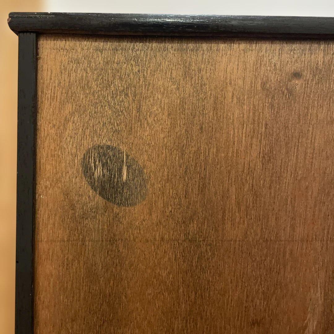 錦鶏鳥　鳥の剥製　ガラスケース　送料込み