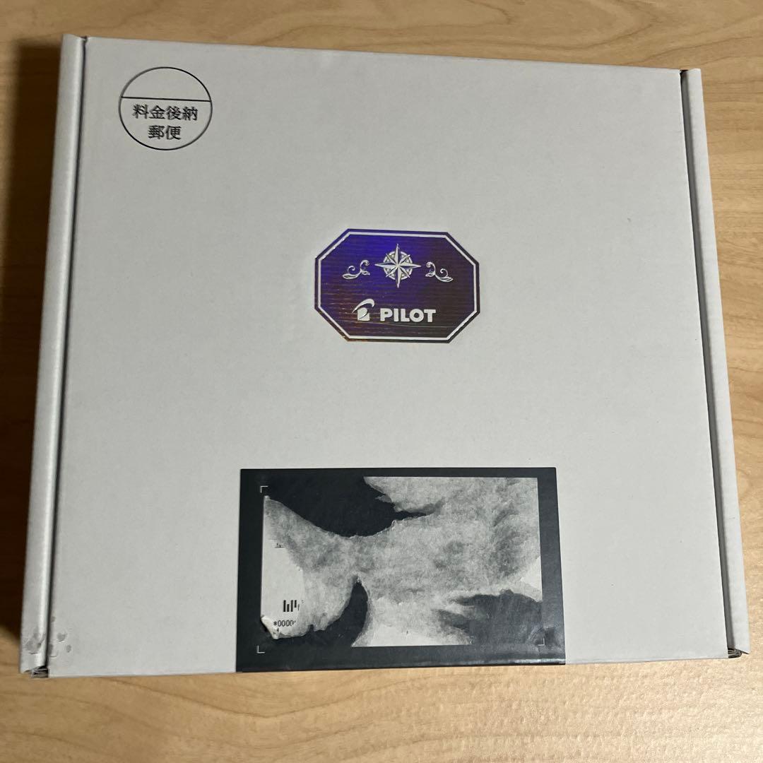 最新！2025年6月1日到着　株主優待　パイロット 1000株保有品