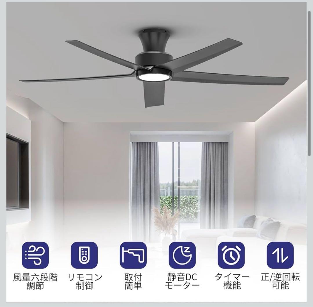 ブラックシーリングファンライト DCモーター