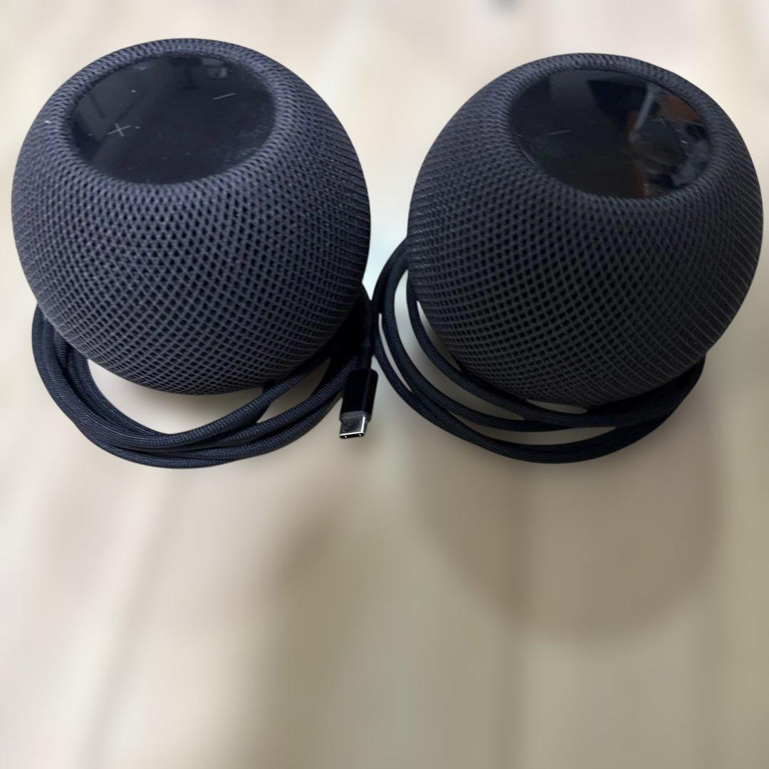 Pod mini スペースグレー 2個セット