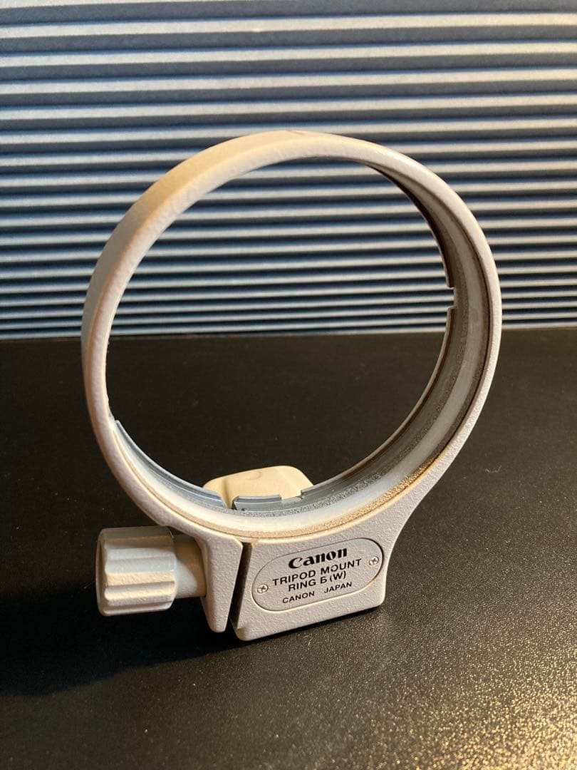 Canon EF 100-400mm ズームレンズ