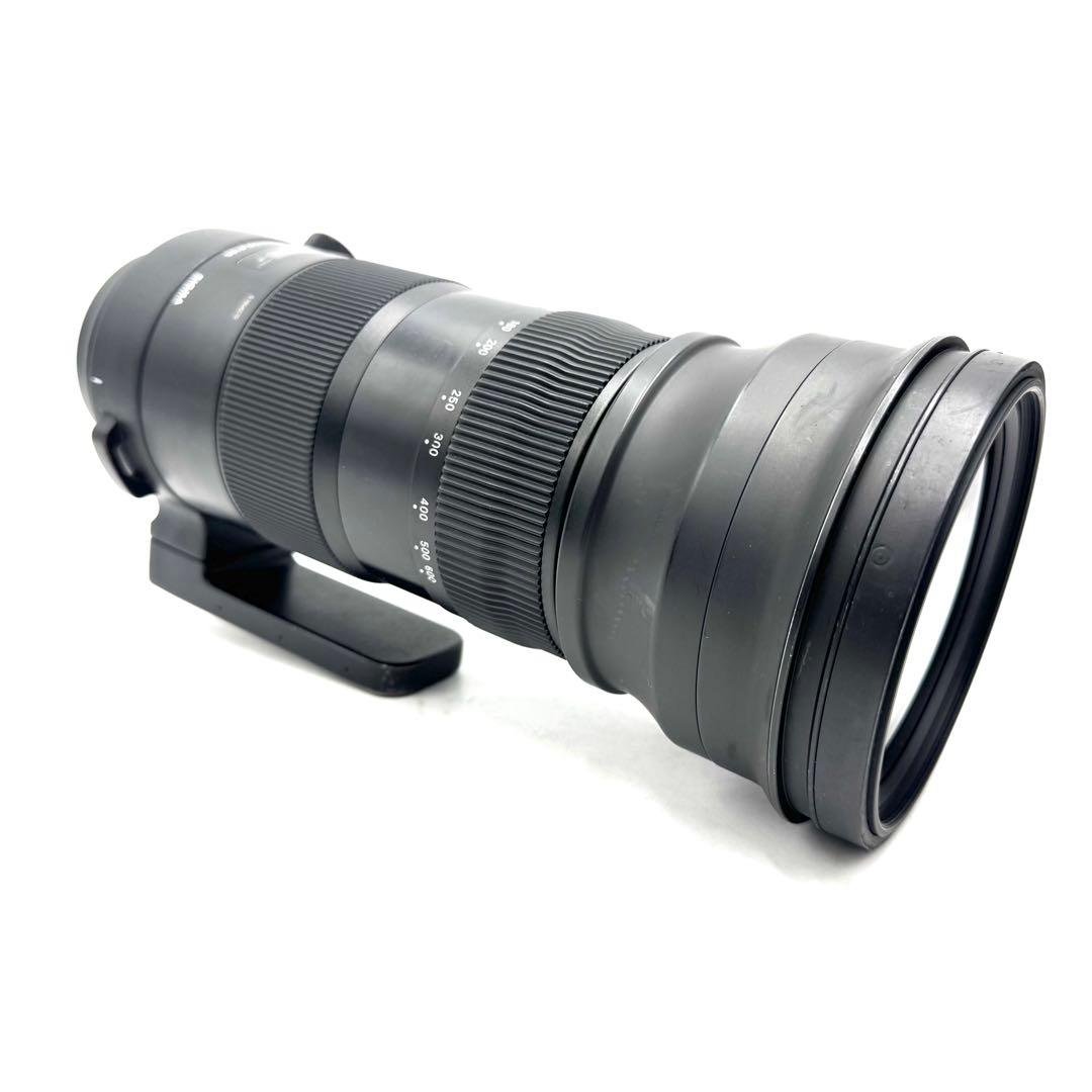 SIGMA 150-600mm DG OS HSM Sports Canon用