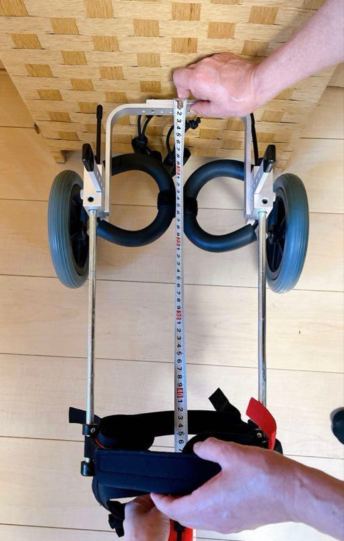 中型犬用車椅子　ほぼ新品