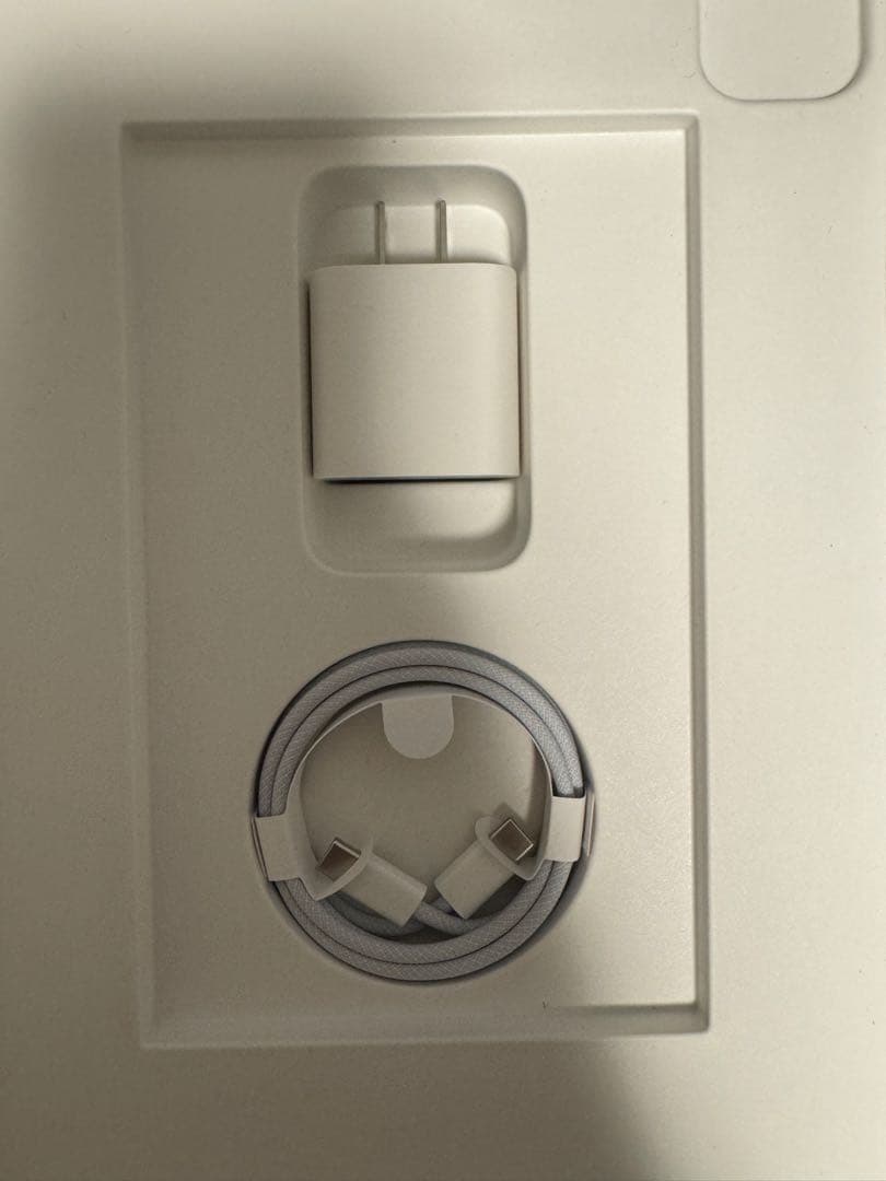 iPad Pro 11インチ 第4世代 256GB Cellularモデル