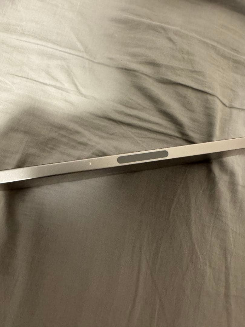 iPad Pro 11インチ 第4世代 256GB Cellularモデル