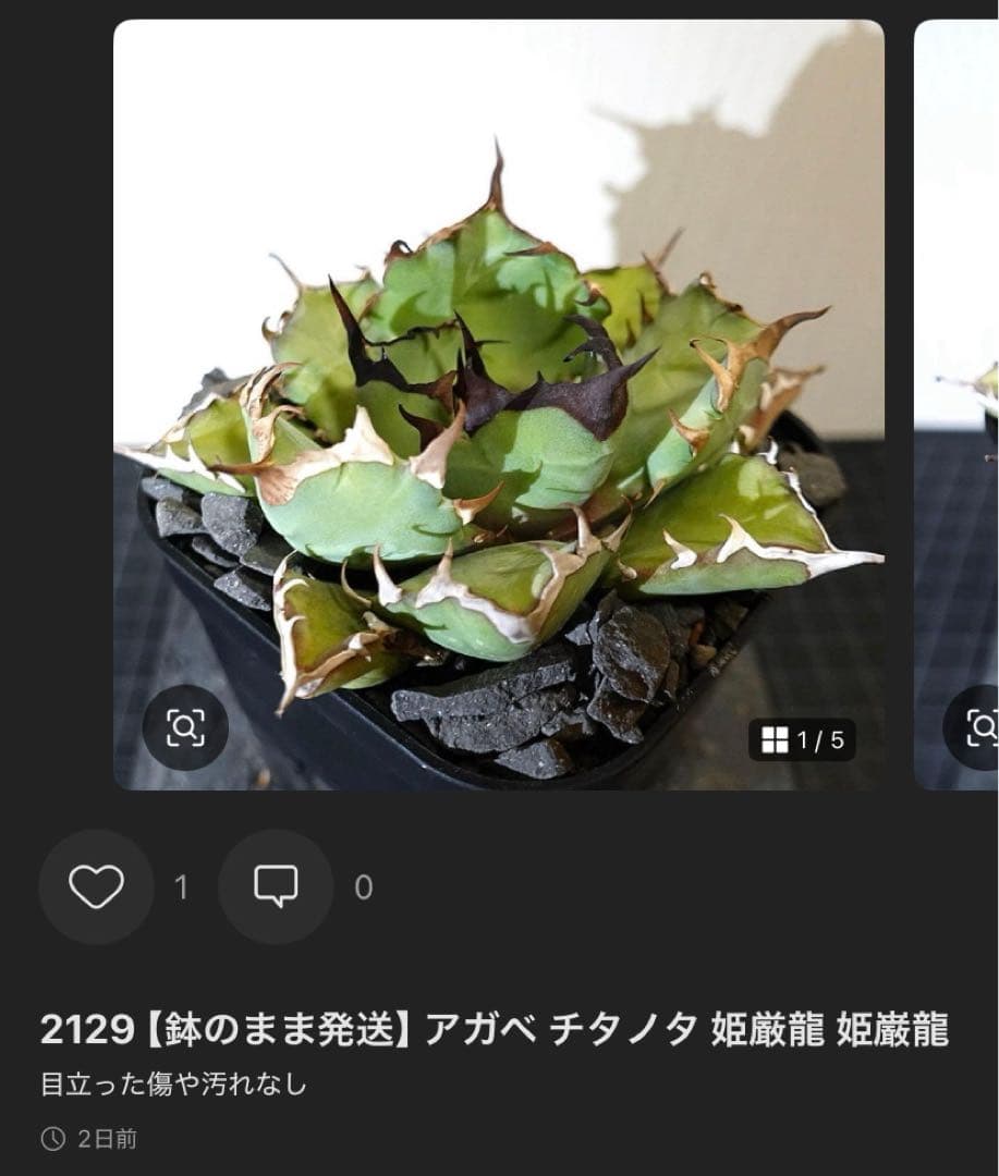 どんどん2128 2103 1214 2129 0000ハデス追加