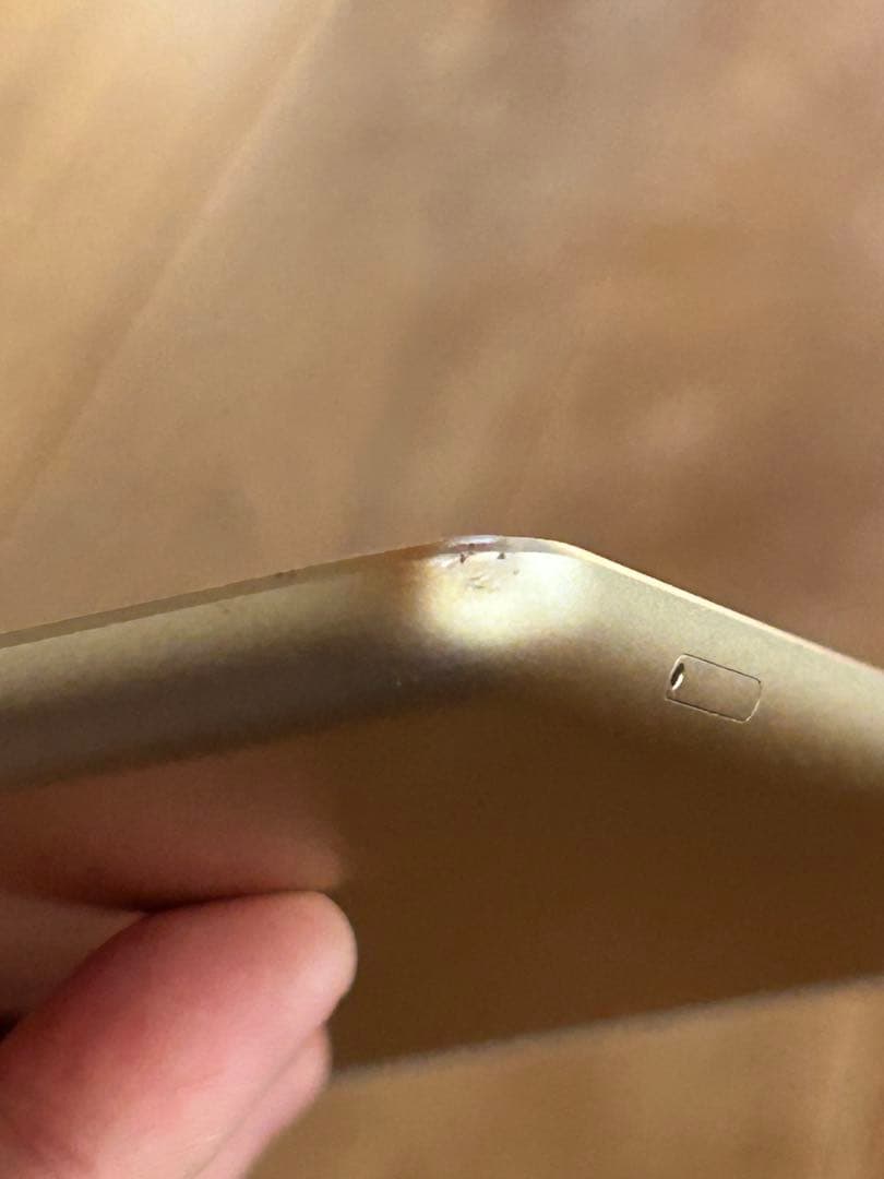 Apple iPad MPG42J/A 32G ゴールド 本体