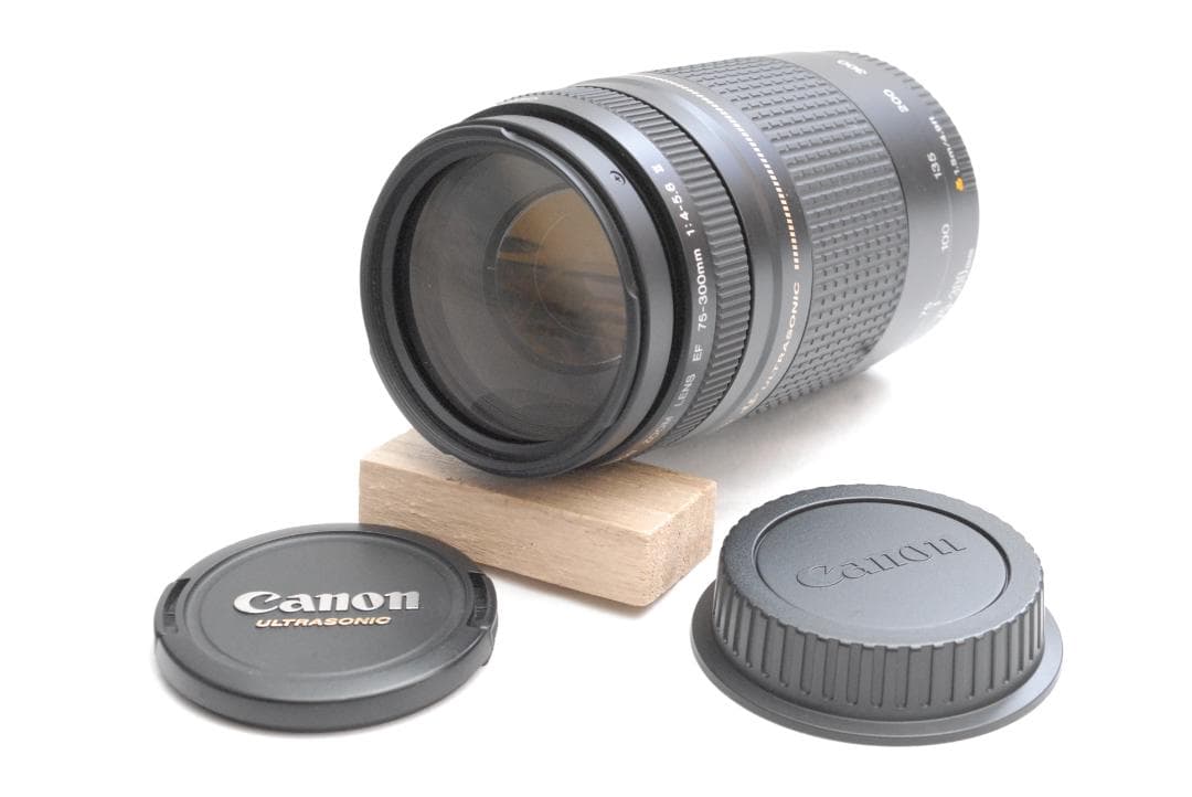CANON ZOOM LENS EF 75-300mm 1:4-5.6 ⅡUSM