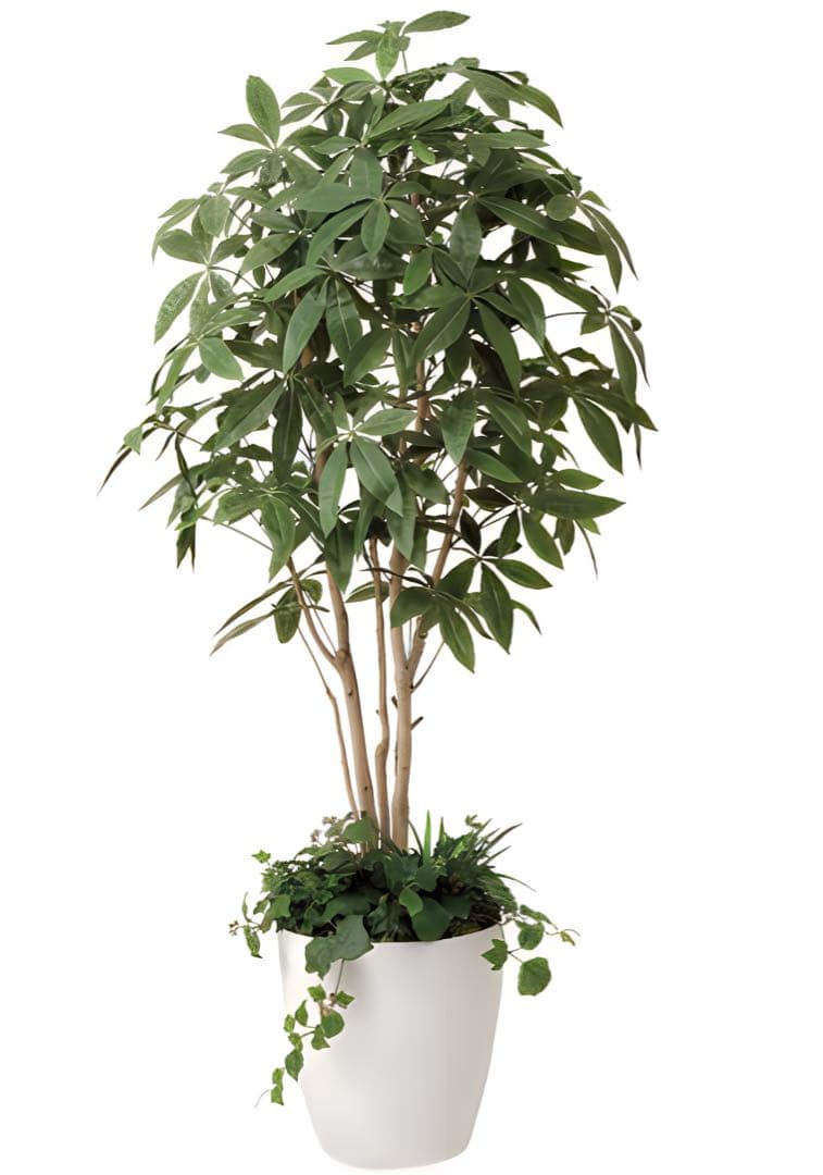 光触媒　人工観葉植物　ウォールグリーン　フェイクグリーン　パキラポット1.8m