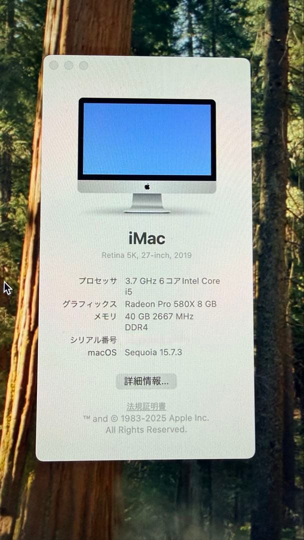 iMac Retina 5K 27インチ 2019 512GBメモリ40GB
