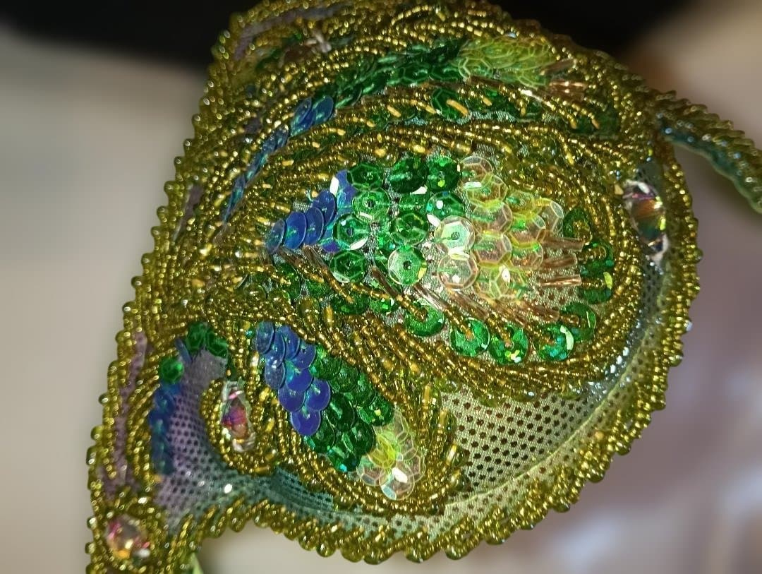 【新品Sale】人気デザイナーズベリーダンス衣装《孔雀》