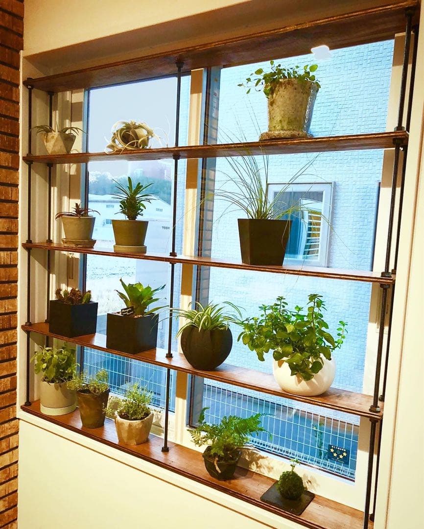 TVで紹介！窓枠における収納棚！tasty ウッドラック 壁面収納ラック